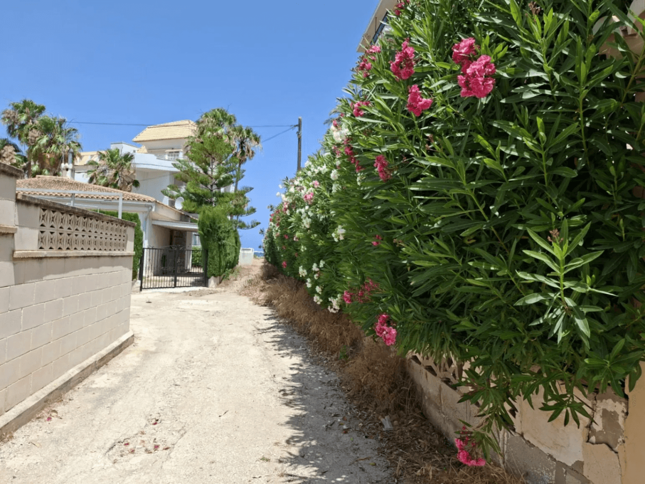 Apartment on Denia Beach