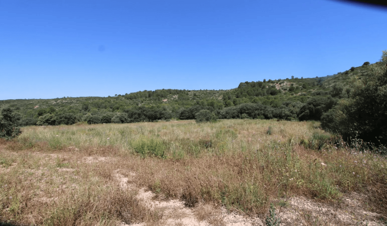 Spectacular style finca villa for sale in Alcalali