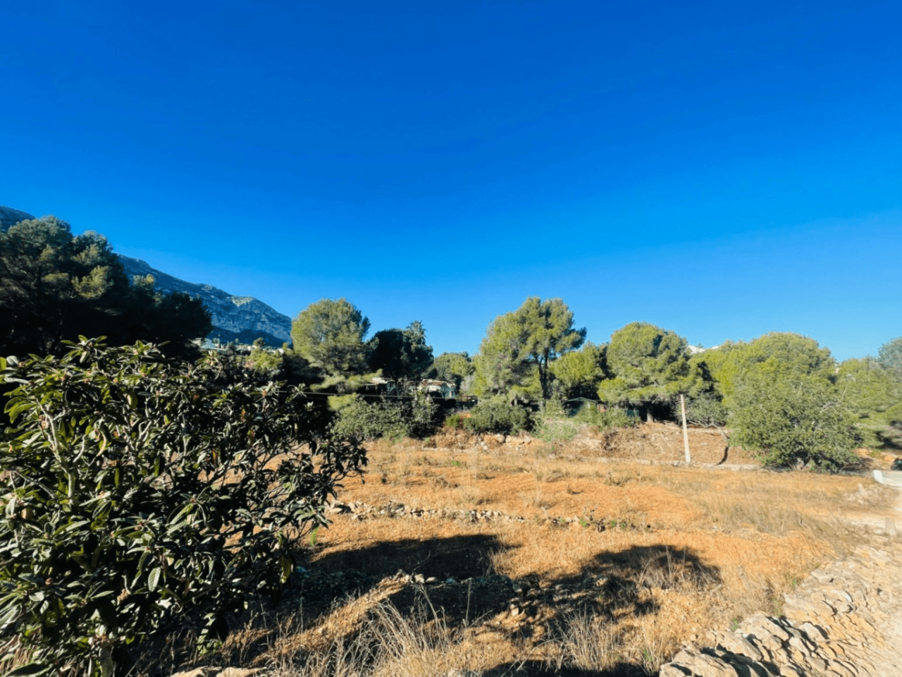 Country house in Rotas area with plot of 12000m2.