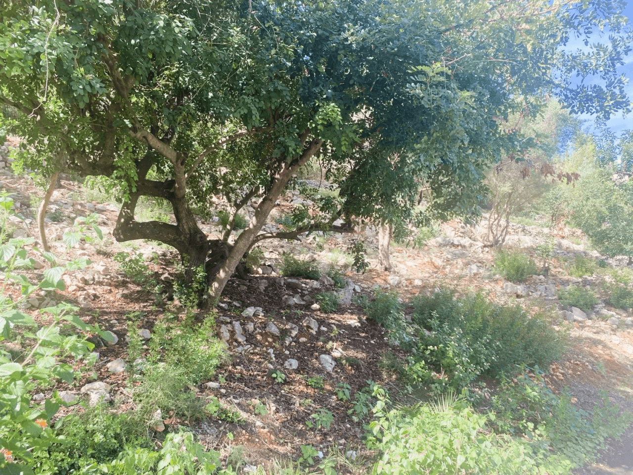 Bouwgrond met uitzicht op zee Denia