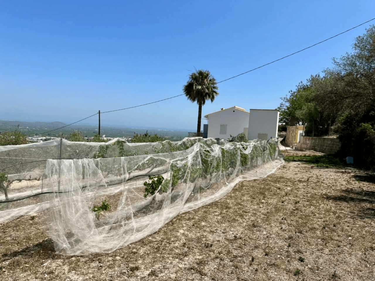 Country house for sale in Pego