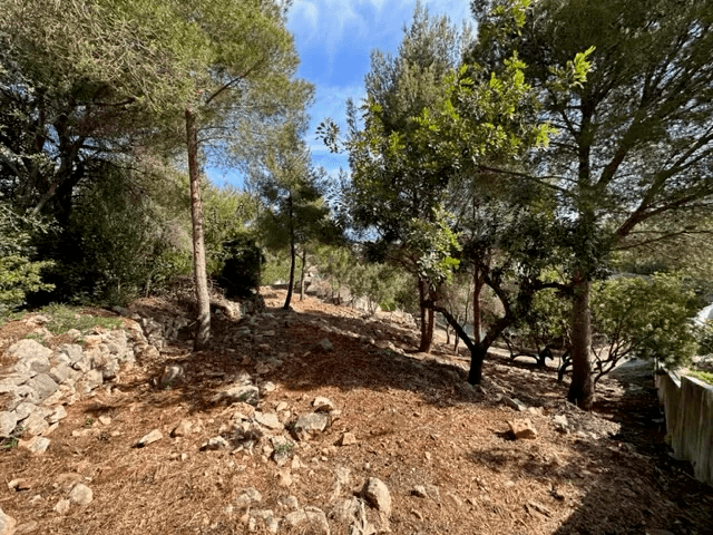 Bouwgrond met uitzicht op zee Denia