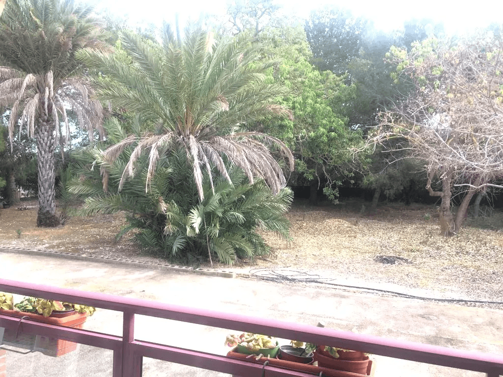 RUSTIC CHALET 400MTS FROM BEACH - DENIA