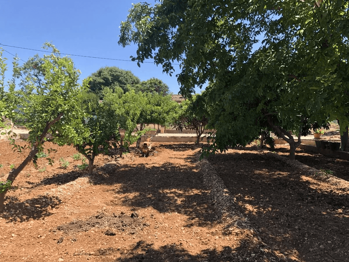 Ondara. Spacious cottage with swimming pool for sale