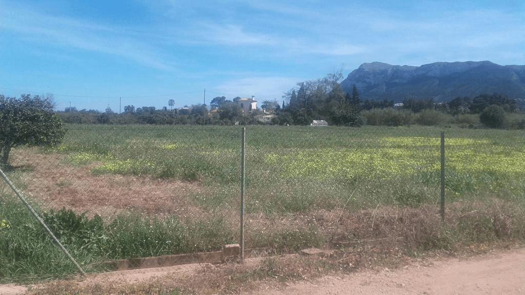 GROOT PERCEEL MET ELEKTRICITEIT EN WATER, ITEM BENIADLA DENIA