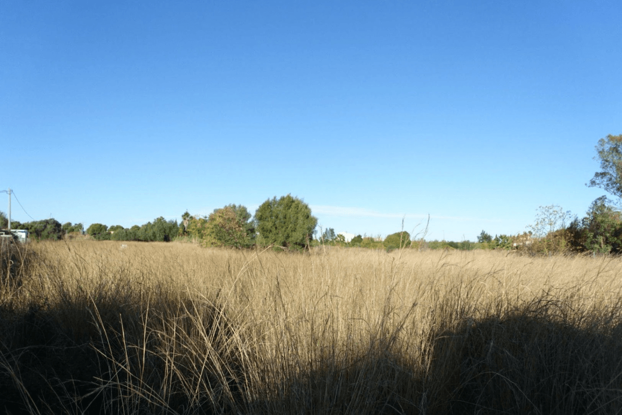Plot in Els Poblets
