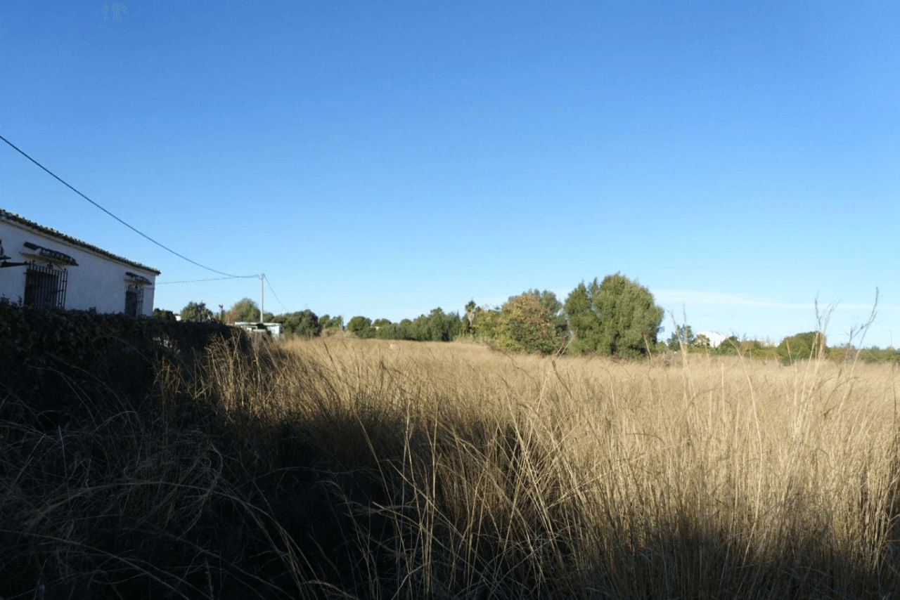 Plot in Els Poblets