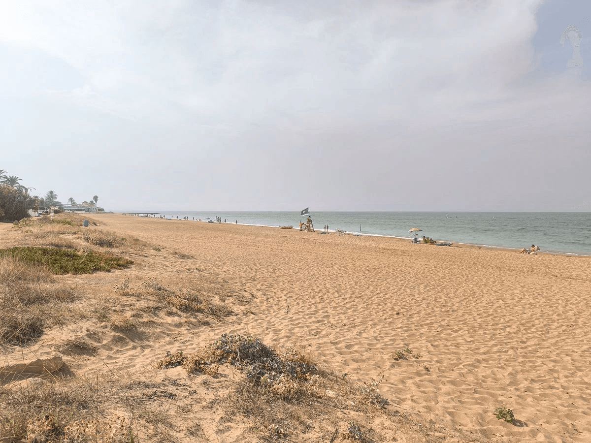 Apartamento en 1ª linea de playa - Denia