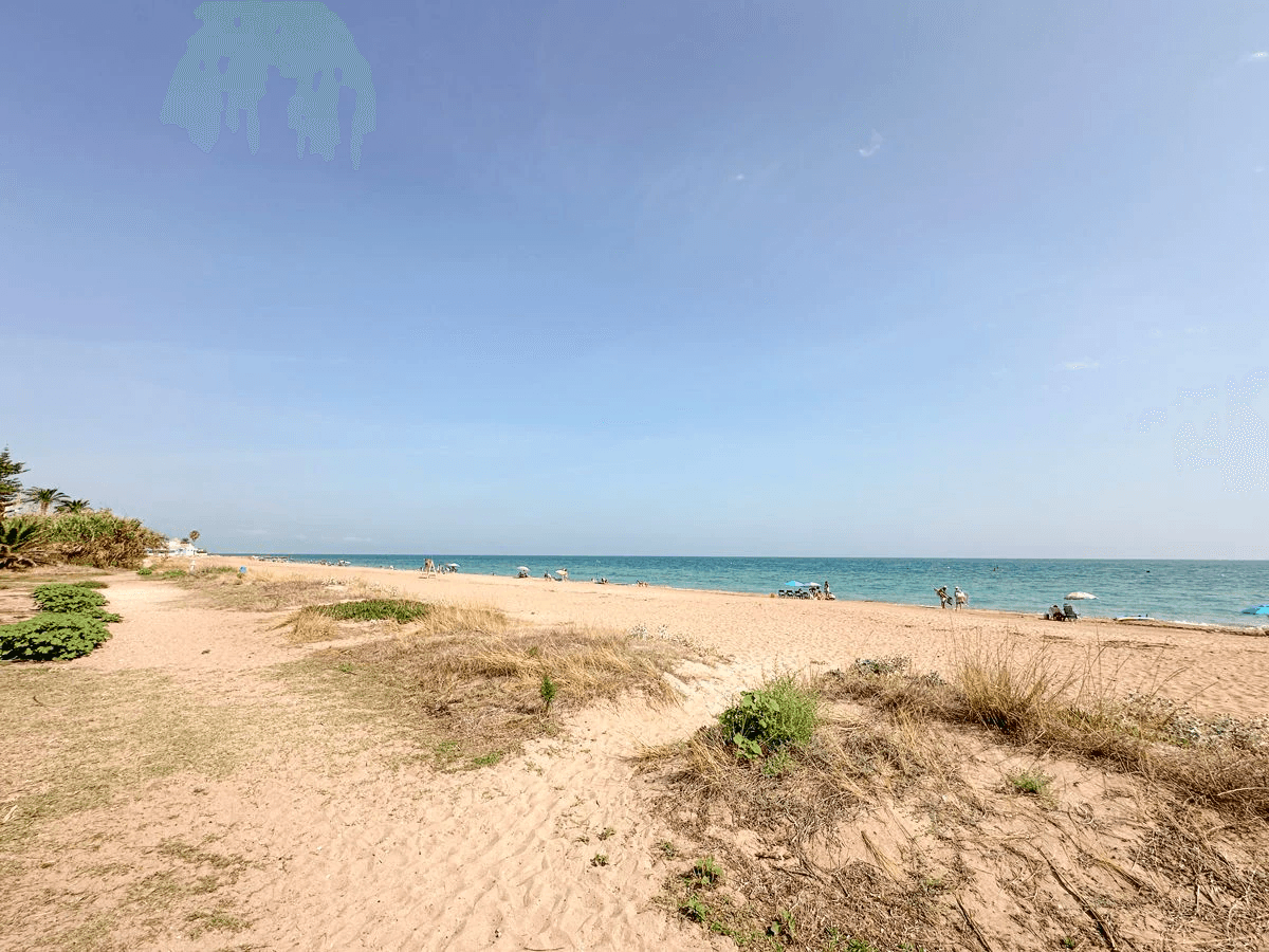 Apartamento en 1ª linea de playa - Denia