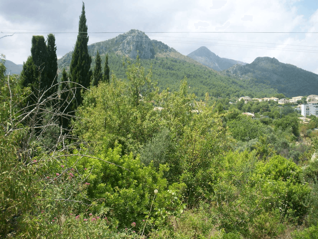 Almost flat urban plot for sale in Orba