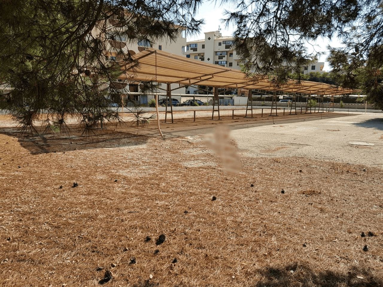 Solar Las Marinas